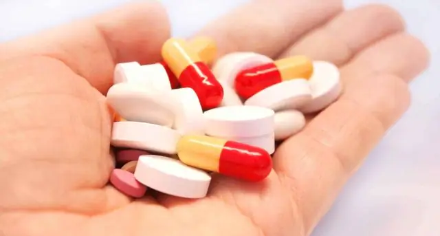 Время является ключом к выживанию бактерий после антибиотиков