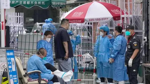 Первые в мире животные, вероятно, вызвали глобальное потепление