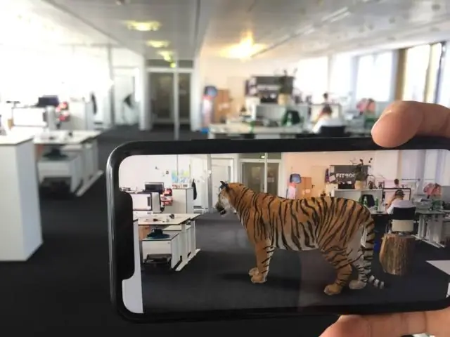 Исследования популяции гигантских панд ставят новые задачи: долгосрочные данные предоставляют научные доказательства успеха сохранения