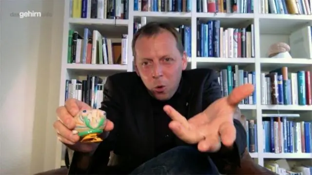 Где мозг превращает зрение в действие