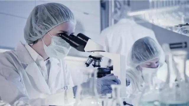 Мутация и 3D-моделирование раскрывают новую структуру процесса клеточного деления