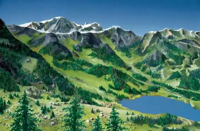 Естественный отбор может влиять на «личность» ящериц