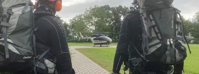 Чтобы спасти северных пятнистых сов, нам нужно запретить целовать кузенов