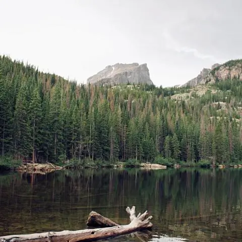 Для достижения целей Парижа в области климата необходимы более высокие амбиции