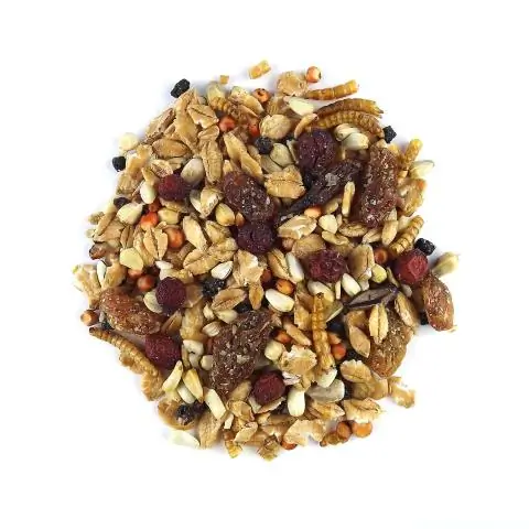 Обожающие ягоды медведи рассеивают семена через экскременты и кормят мелких млекопитающих