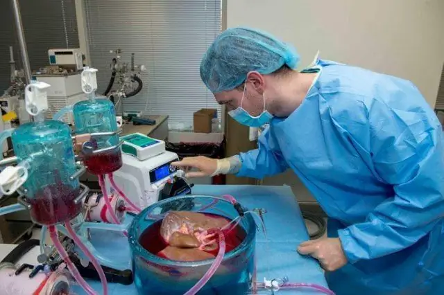 Природный антифриз вдохновил на революционную технологию криоконсервации бактерий