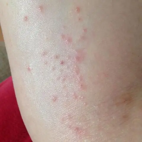 Реагируя на риск хищничества, подержанный опыт может быть так же хорош, как новый