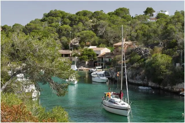 Обезьяны Бейла, живущие в разных районах, имеют очень разную ДНК