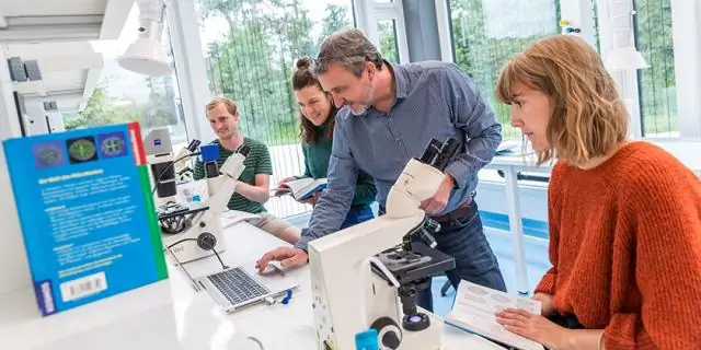 Стратегия создания «зон, запрещенных для добычи полезных ископаемых» в глубоководных районах: исследователи предлагают новые критерии защиты глубоководного биоразнообразия