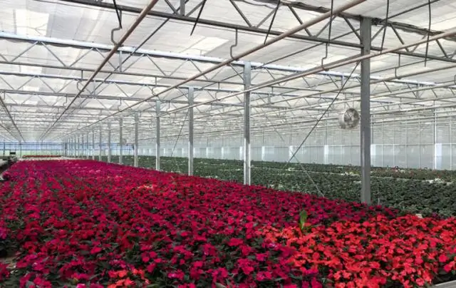 Озабоченность метаболитами, замедляющими горение у белоголовых орланов, поднята в новом исследовании