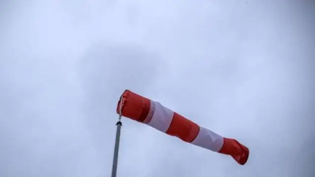 Дождливая погода предсказывает распространение птиц, но изменение климата может нарушить его