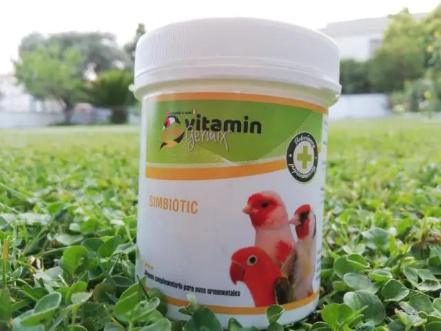 Желудочно-кишечная флора: виновник тяжелого поражения легких после переливания крови