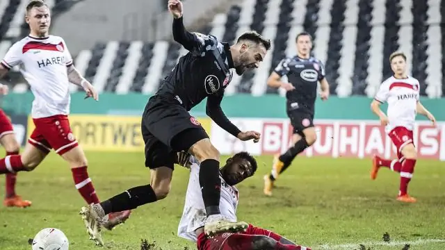 Поедание костного мозга сыграло ключевую роль в эволюции человеческой руки