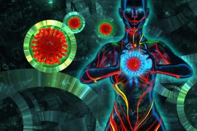 Люди произошли не от одной предковой популяции в одном регионе Африки