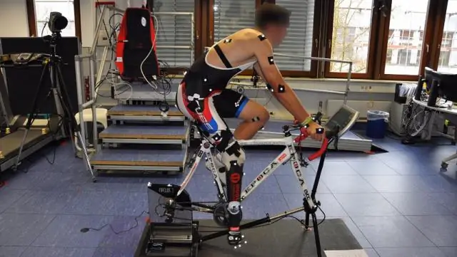 Полипы позволяют неродственным «другим» сливаться с ними и делиться тканями, обнаруживают ученые