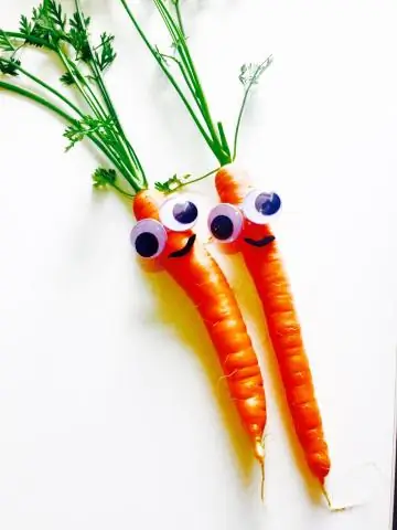 Муравьям-солдатам не нужны большие мозги