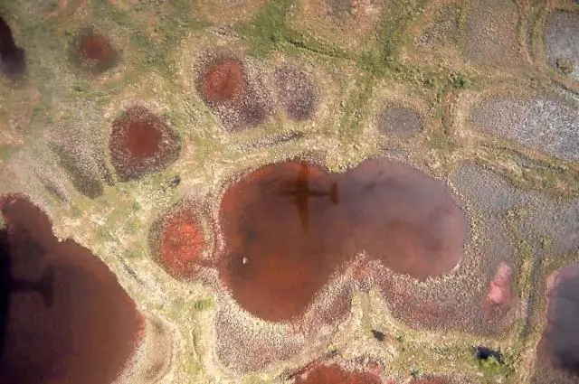 Знакомство с микробами, вызывающими изменение климата: генетические детали могут улучшить прогнозы и направить усилия по замедлению ущерба