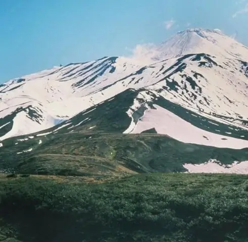 Таяние микробиомов вечной мерзлоты способствует изменению климата