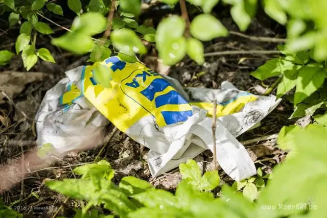 Потепление рек вносит заметный вклад в глобальные уровни парниковых газов