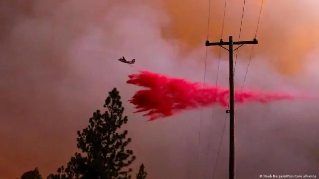 Загрязнение озоном в национальных парках США близко к загрязнению крупнейших городов США