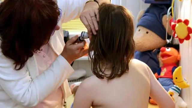 Ведет ли утрата биоразнообразия к повышенному риску заболеваний?