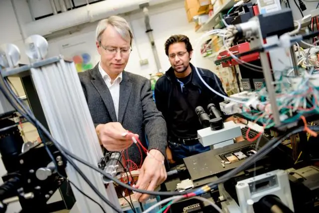 Химики характеризуют смертельный грибок среди нас