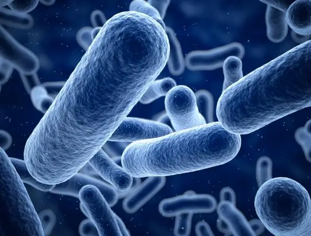 Пыль Сахары может вызвать у вас кашель, но она убивает шторм