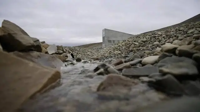 Потепление может увеличить уровень самоубийств в США и Мексике