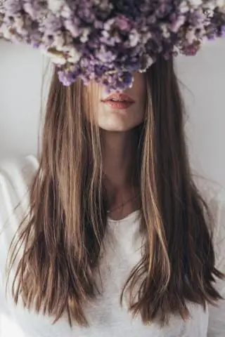 Древние фермеры преобразовали Амазонку и оставили неизгладимое наследие в тропических лесах