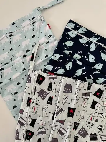 Разнообразие популяций лосося позволяет медведям, занимающимся поиском ресурсов, поедать тонны рыбы