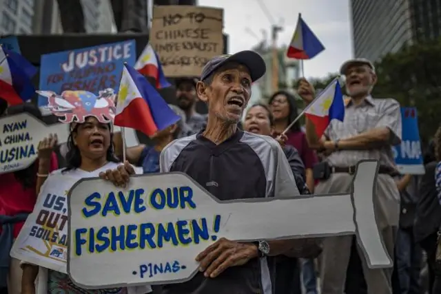 Спутниковое отслеживание показывает, что филиппинские воды важны для находящихся под угрозой исчезновения китовых акул