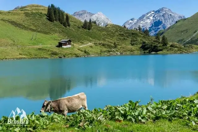 Химикаты, поддерживающие течение питьевой воды, также могут вызывать загрязнение
