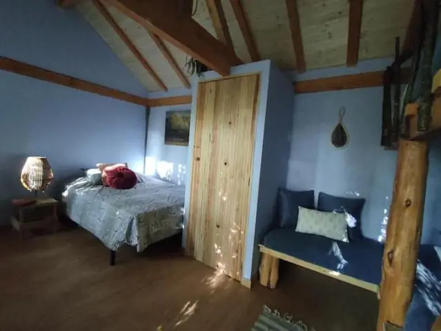 Почтовые голуби используют местные естественные запахи, чтобы найти дорогу: исследование воспроизводимости опровергает популярную гипотезу о том, как голуби успешно возвращаются домой