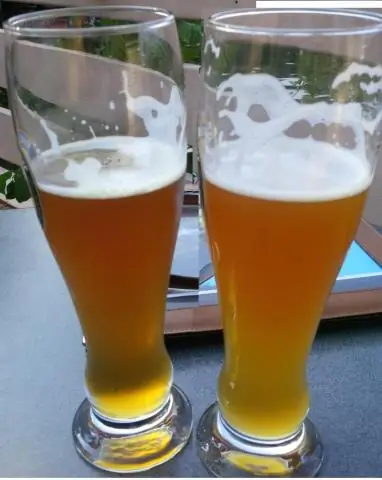 Easy-Bake окаменелости: ученые нашли способ смоделировать процесс окаменения примерно за день