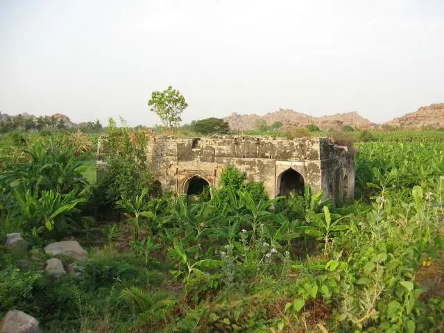 Уничтожение переносчиков малярии комаров вряд ли повлияет на экосистемы, говорится в докладе