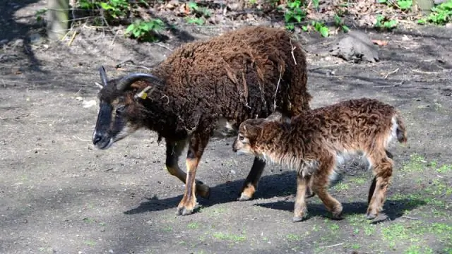 Изготовление резьбы в Британии бронзового века