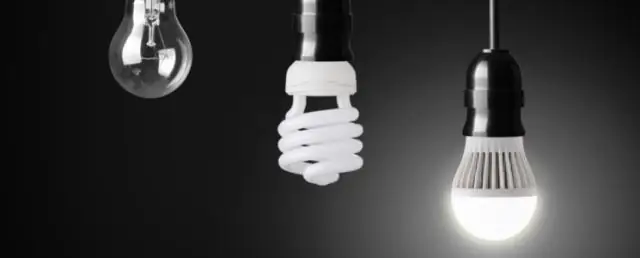 Ночное освещение меняет взаимодействие видов