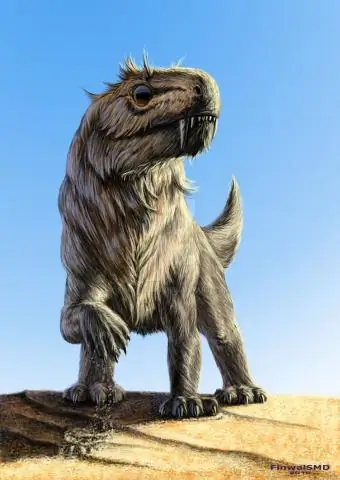 Как прыгающие гены вызывают болезни и движут эволюцией?