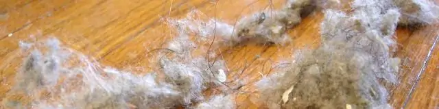 Чтобы сохранить больше углерода на земле, ключевое значение имеет прекращение расширения сельскохозяйственных угодий