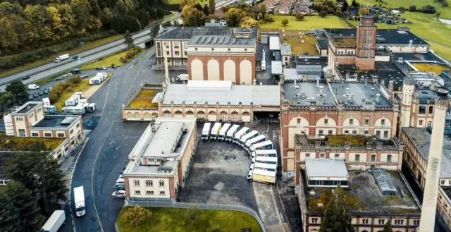 Первое картографирование глобальной морской дикой природы показывает, как мало осталось