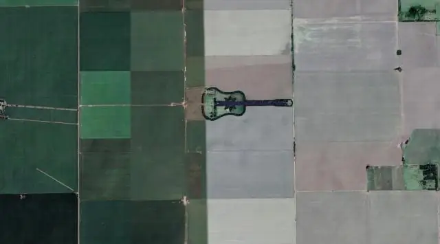 В дуплах деревьев устраивают массовые вечеринки с мотыльками