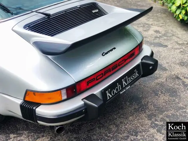 Спящее сокровище в университетской коллекции оказалось культовым вымершим млекопитающим Японии’