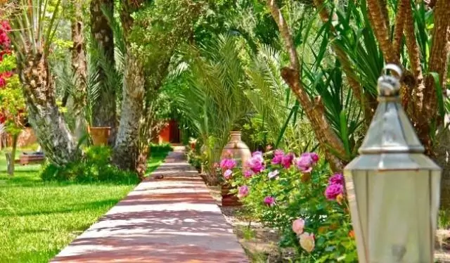 Спокойная лошадь всего в одном шаге