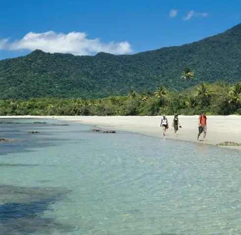 Арктический циклон ограничивает временные рамки точного прогноза состояния льдов на Северном морском пути?