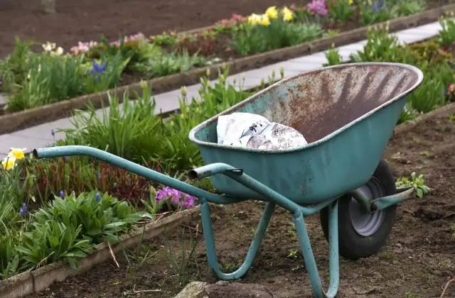 Засухи, вызванные изменением климата, становятся все жарче, исследование показало: повышение температуры в засушливые периоды опережает среднее потепление климата