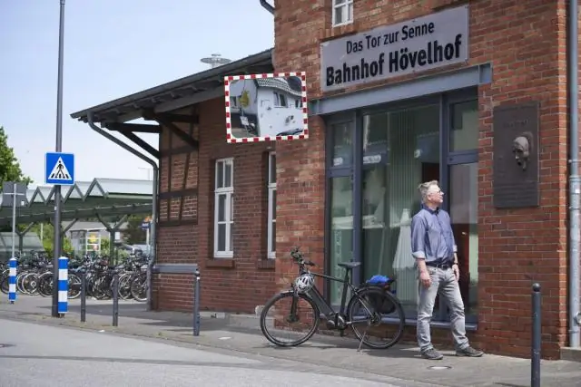 Голые землекопы бросают вызов условностям старения и размножения