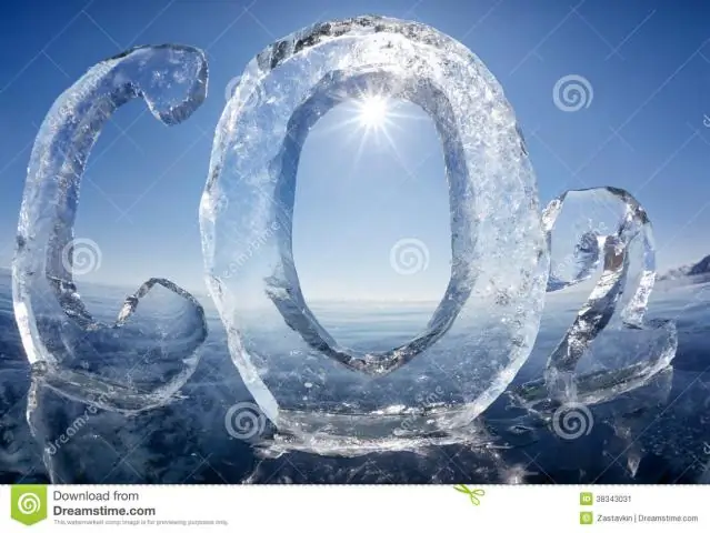 Картирование синего углерода в мангровых зарослях по всему миру: подробная информация об экологической ценности мангровых зарослей