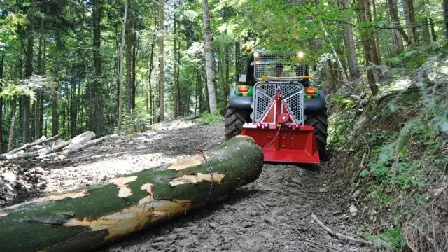 Измерение воздействия управления лесами на климат