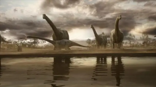 Вымирание в конце мелового периода породило разнообразие современных акул