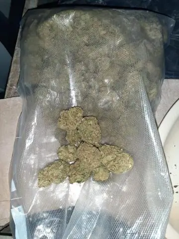 Когда семя становится растением, у него есть 48 часов, чтобы выжить